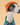 Dog - Fashion
