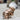 d87b9bd639c40e6abc100b12161464f8