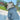 19beb4e81fd97b806567ab42751dc9ca