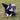 72b4649b289fd0a1ae9757546e1e159b